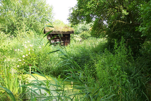 Anlage des KGV „Wilster“