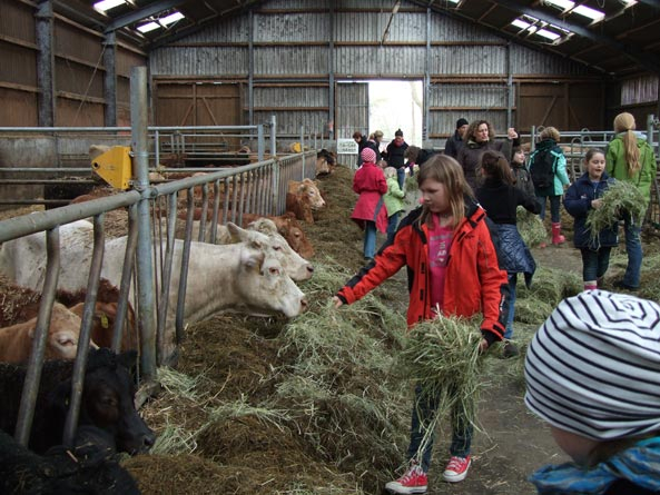 Kinder auf dem Bauernhof