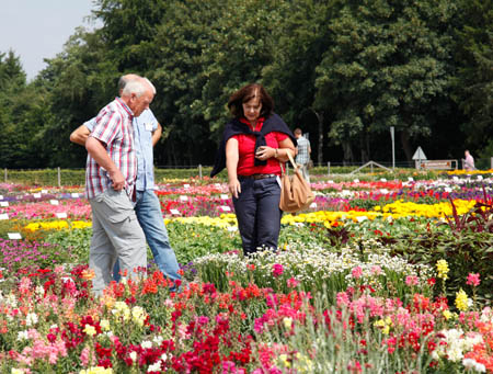 Gartenfreund-Expertenforum in Münster