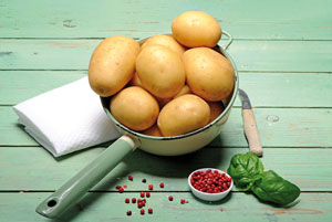 Kartoffelsorte ‘Cosma’