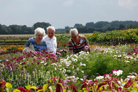 Easy Gardening