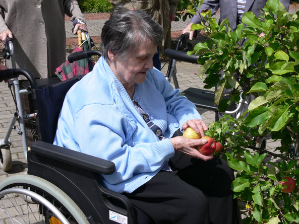 Kleingärtner öffnen  ihre Anlage für die Senioren eines Altenheims