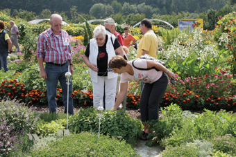 Gartenkräuter probieren