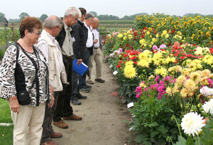 Blumenpracht auf dem Kaldenhof