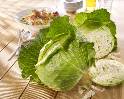 Weißkohl ‘Gumma’