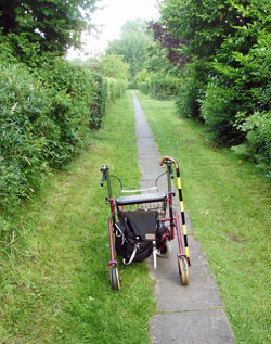 Barrierefreie Wege in den Anlagen