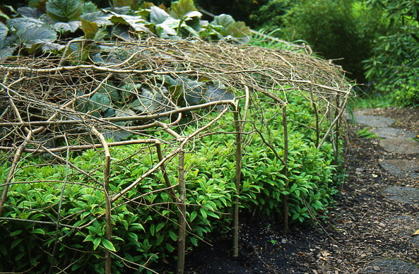 Ziergarten Mai