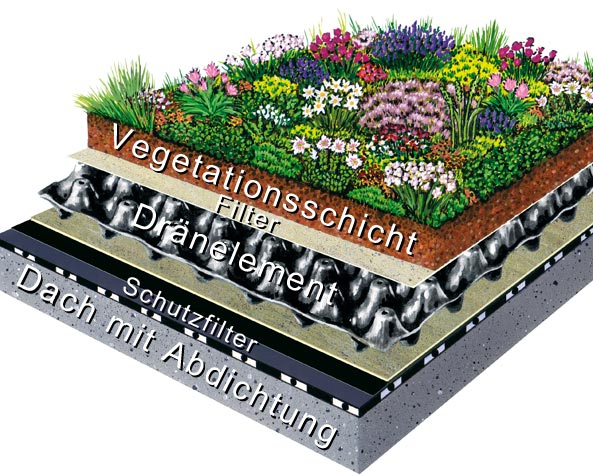 Illustration Dachbegrünung