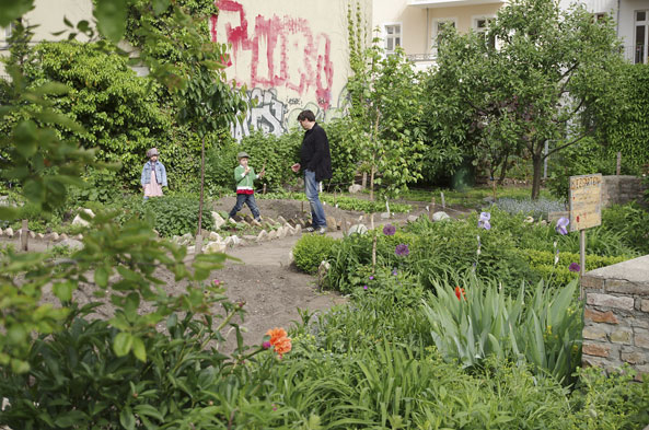 Urban Gardening