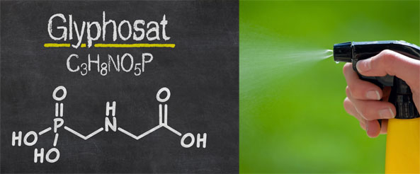 Glyphosat