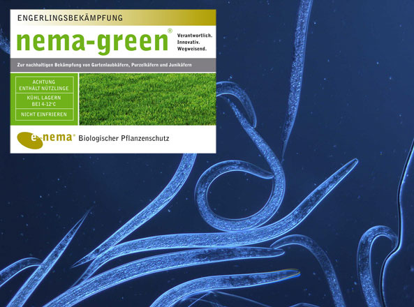 Nematoden, Pflanzenschutz ohne Pestizide - nema-green