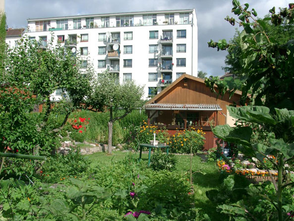 Frische Luft für die Innenstadt