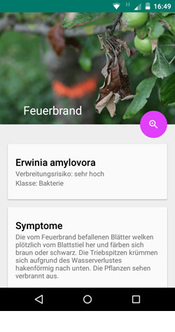 Pflanzenschutz mit dem Smartphone