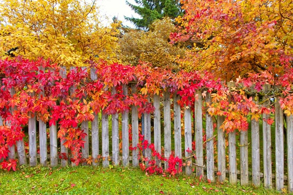 Holzschutz im Garten