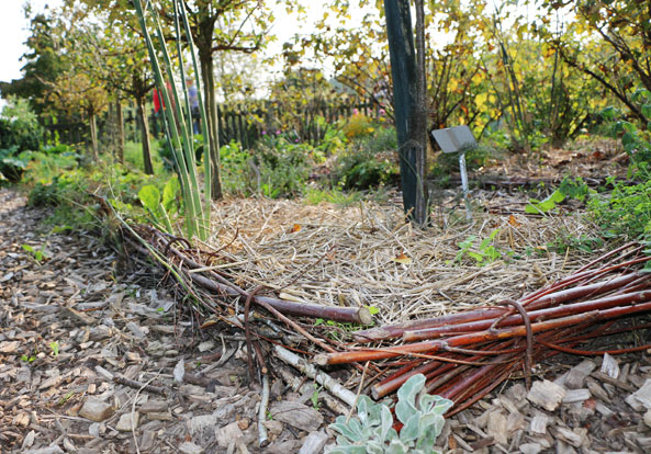 Gartengestaltung - Weidengeflecht