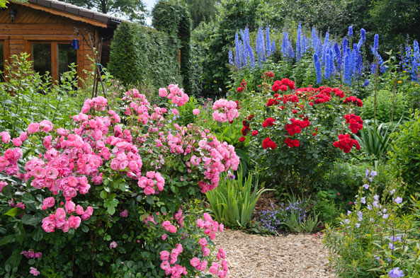Gartengestaltung - Blütenpracht