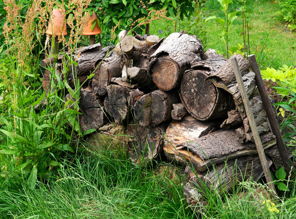 Gartengestaltung - Totholz
