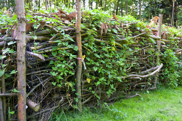 Totholzhaufen - Benjehecken