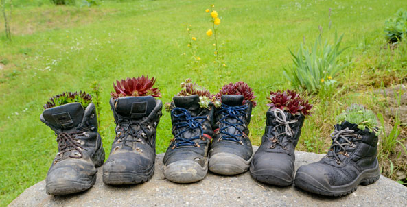 Upcycling im Garten - Bepflanzte Wanderschuhe