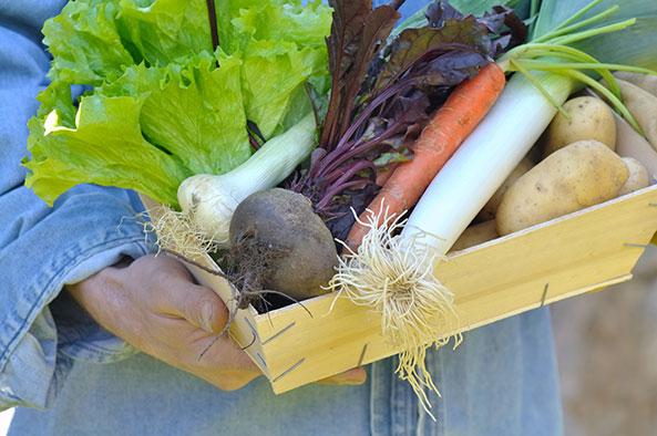 Wertschätzung der eigenen Ernte