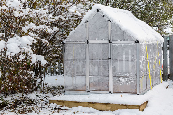 Gewächshaus im Schnee
