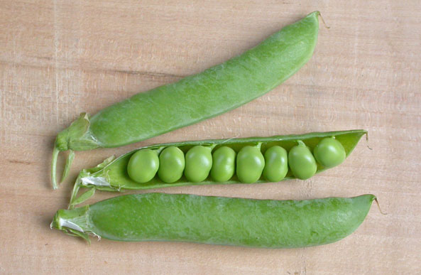Erbsen