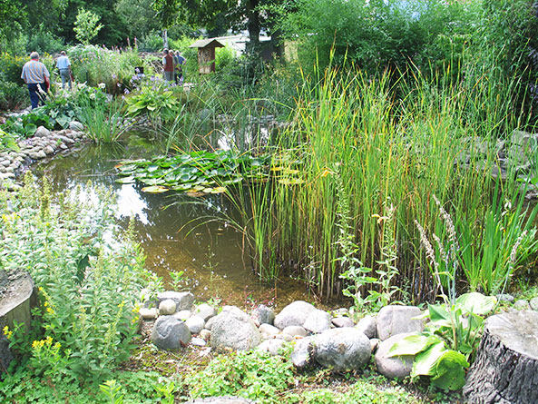 Ausgleichsflächen im Kleingarten