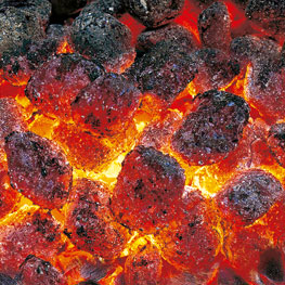 Grillbriketts