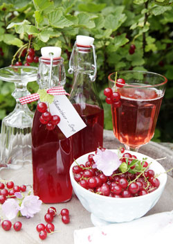 Johannisbeersirup