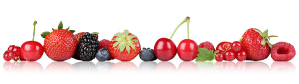Beeren für Sirup