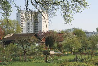 Sauerstoffproduzenten und grüne Erholungsflächen