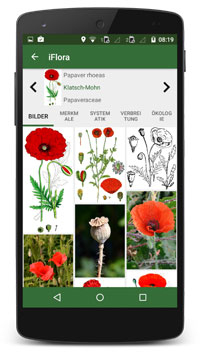Alle Pflanzen in einer App