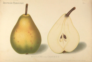 Köstliche von Charneux