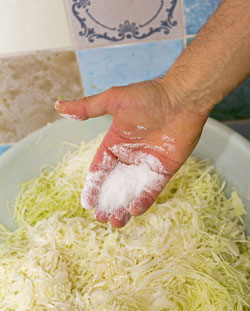 Milchsäuregärung - Weißkohl mit Salz bedecken