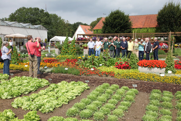 Pflanzen und Gartenfreunde