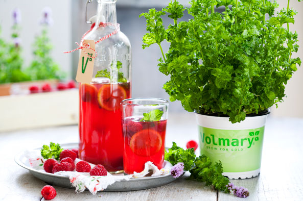 Limonaden-Minze und Gartenfrüchten