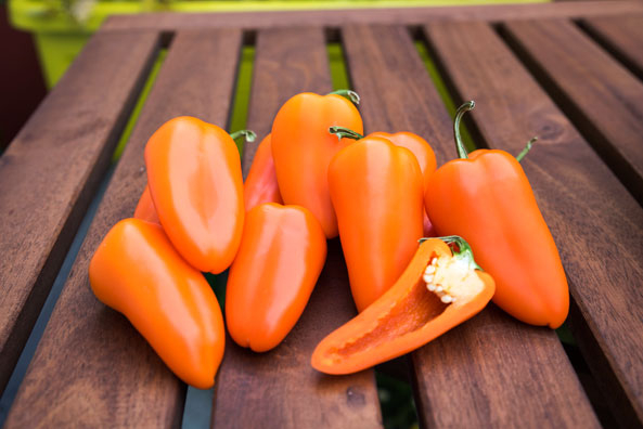 Snackpaprika