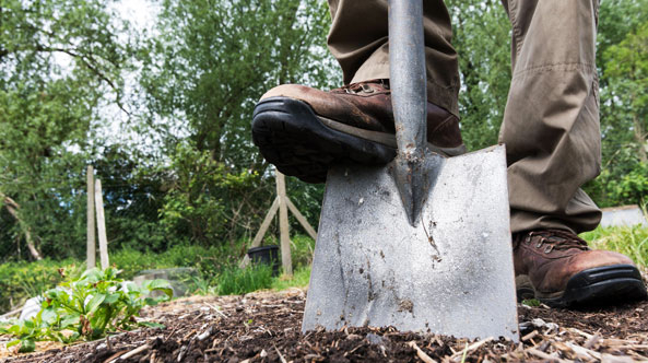 Spatenkunde für Gartenfreunde