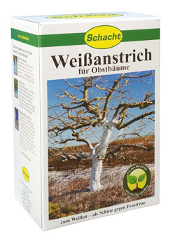Weißanstrich für Obstbäume