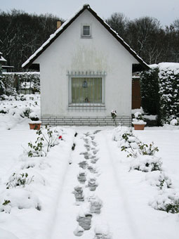 Kleingarten im Winter