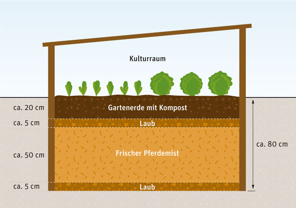Gemüseanbau im Frühbeet - Mistbeet
