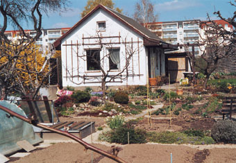 Gewachsene Siedlungsstruktur