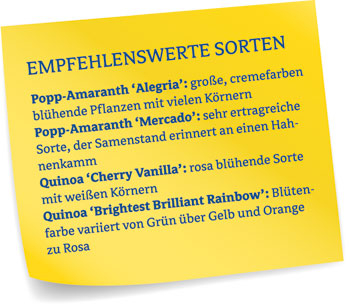 Empfehlenswerte Körner-Sorten