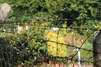 Kleingarten mit Stacheldraht umzäunt