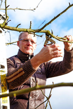 Obstbaumschnitt beenden