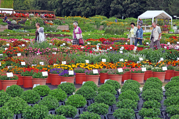 Gartenfreund-Expertenforum 2017