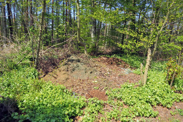 Gartenabfälle gehören nicht in den Wald