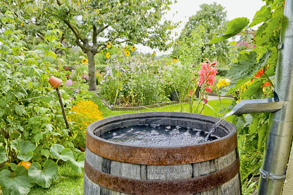 Wasserhaushalt im Kleingarten