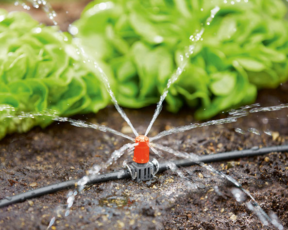 Sprinkler