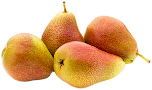 Obstspaliere - Birnen
